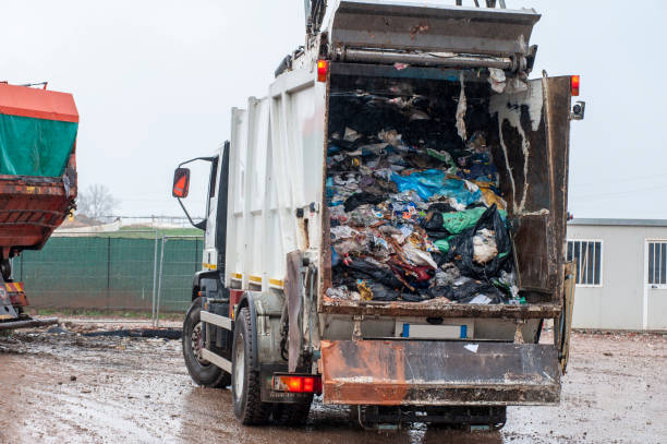 Best Yard Waste Removal  in Daly City, CA